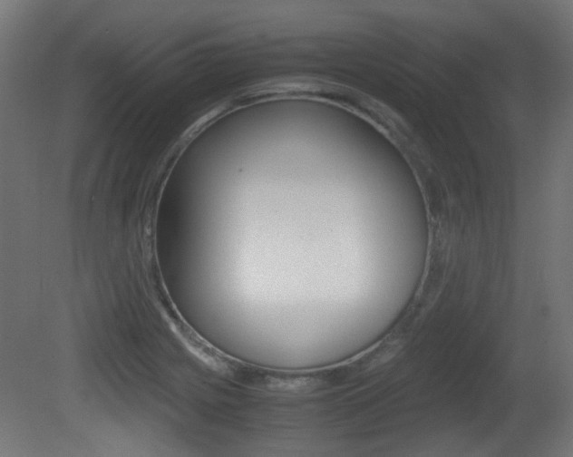 X0000081351225200701111057
