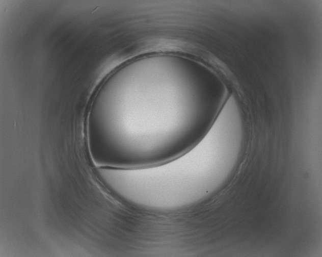 X0000081351226200701111057