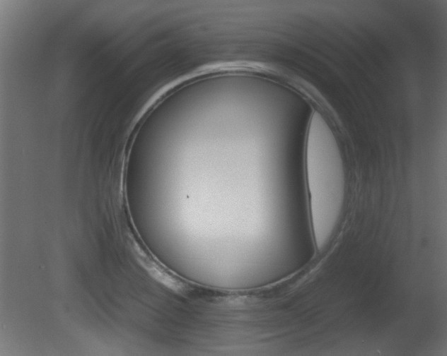 X0000081351228200701111057