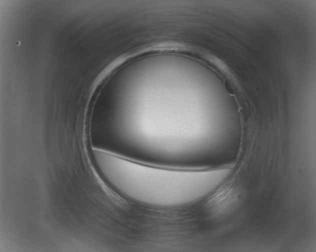 X0000081351229200701111057