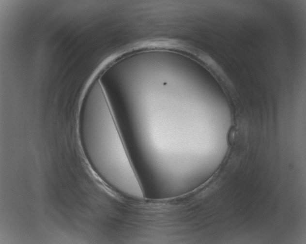 X0000081351232200701111057