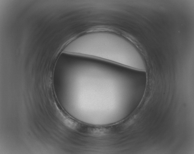 X0000081351233200701111057