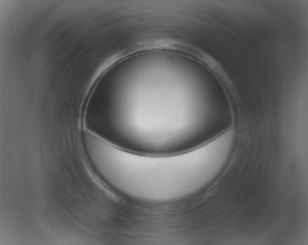 X0000081351234200701111057