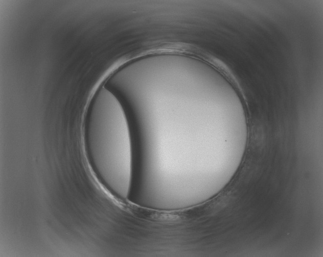 X0000081351235200701111057
