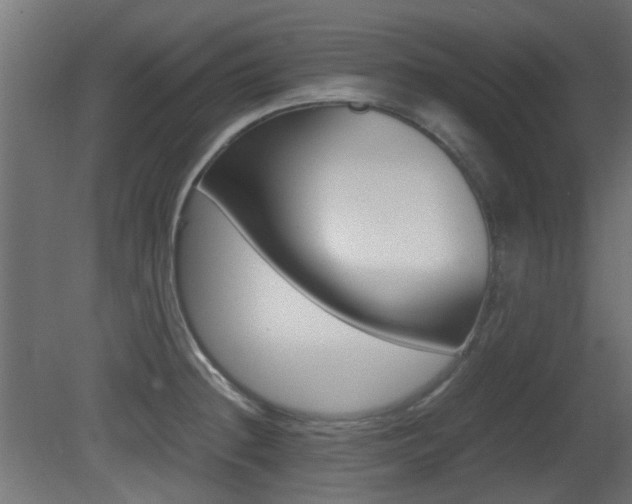 X0000081351236200701111057