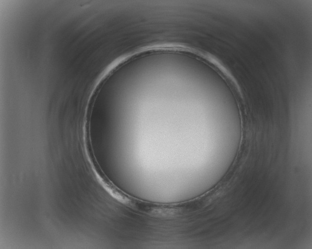 X0000081351237200701111057