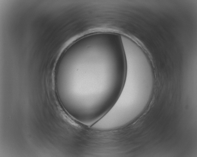 X0000081351238200701111057