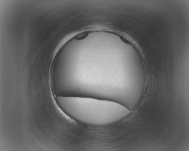 X0000081351239200701111057