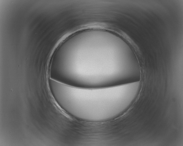 X0000081351240200701111057