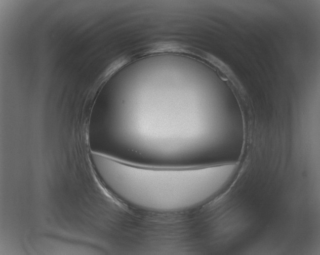X0000081351241200701111057