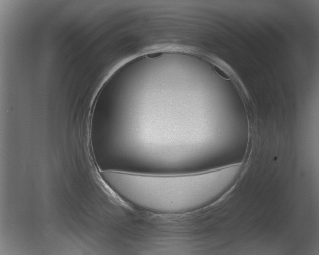 X0000081351244200701111057