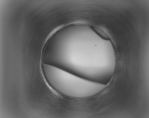 X0000081351245200701111057
