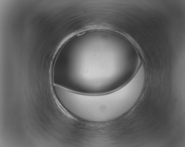 X0000081351246200701111057