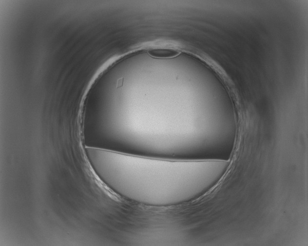 X0000081351248200701111057