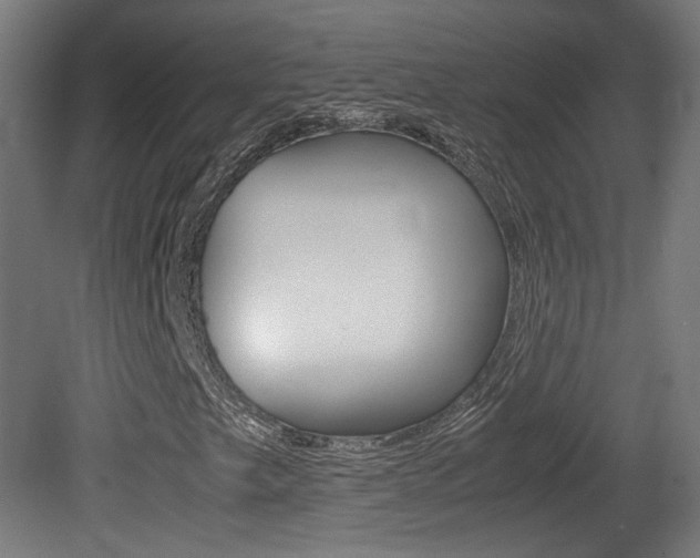 X0000081351249200701111057