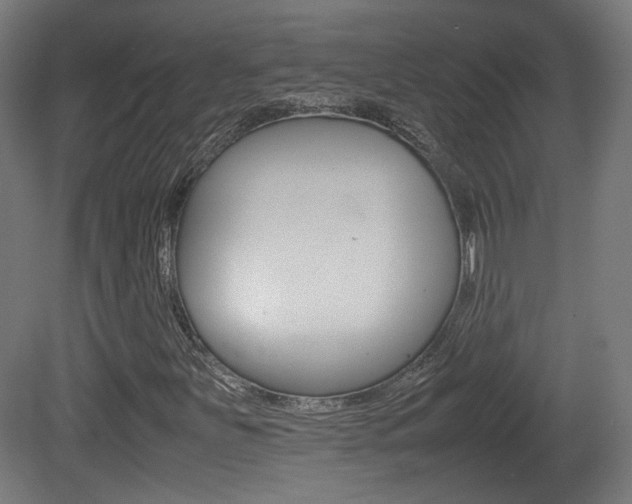 X0000081351251200701111057