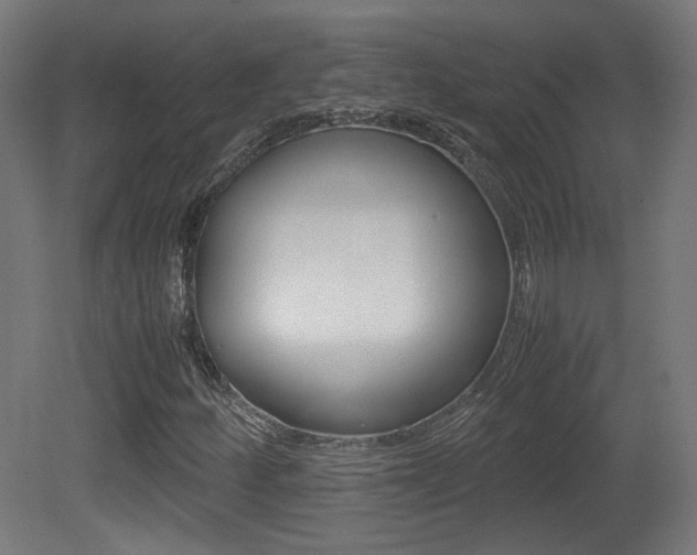 X0000081351252200701111057