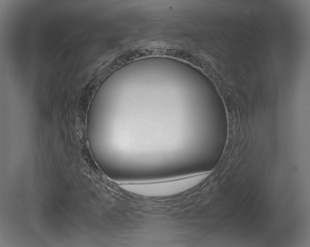 X0000081351253200701111057