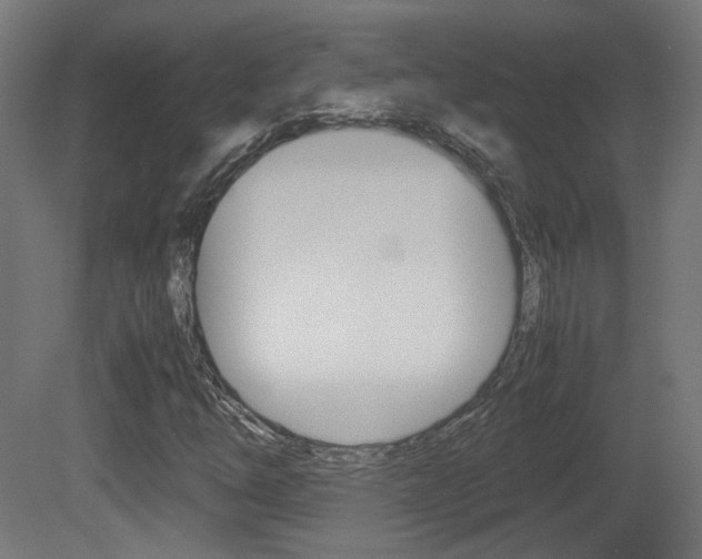 X0000081351254200701111057