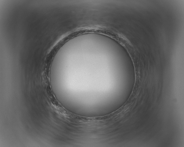 X0000081351256200701111057