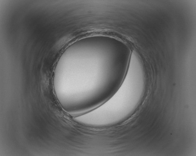 X0000081351257200701111057