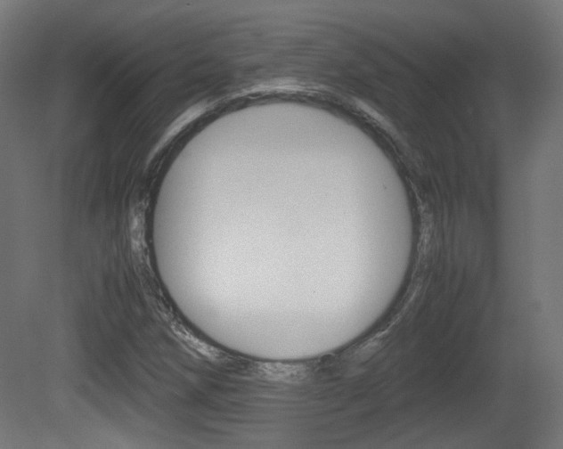 X0000081351258200701111056