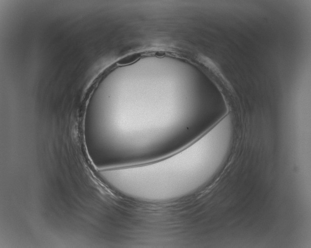 X0000081351260200701111056