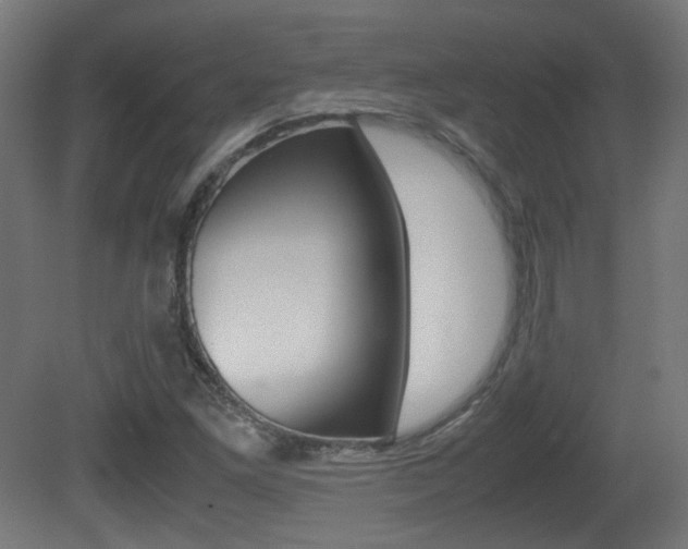 X0000081351261200701111056