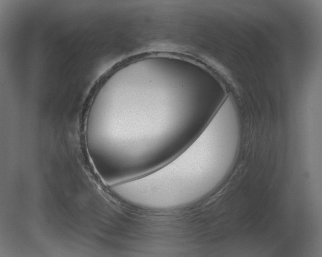 X0000081351264200701111056