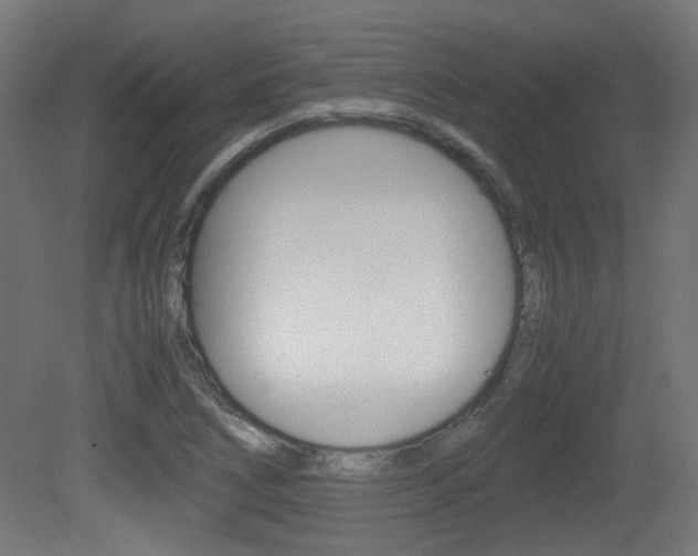 X0000081351266200701111056