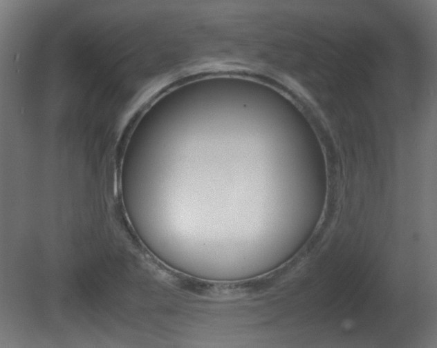 X0000081351269200701111056