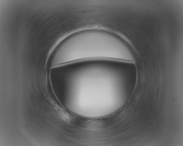 X0000081351270200701111056
