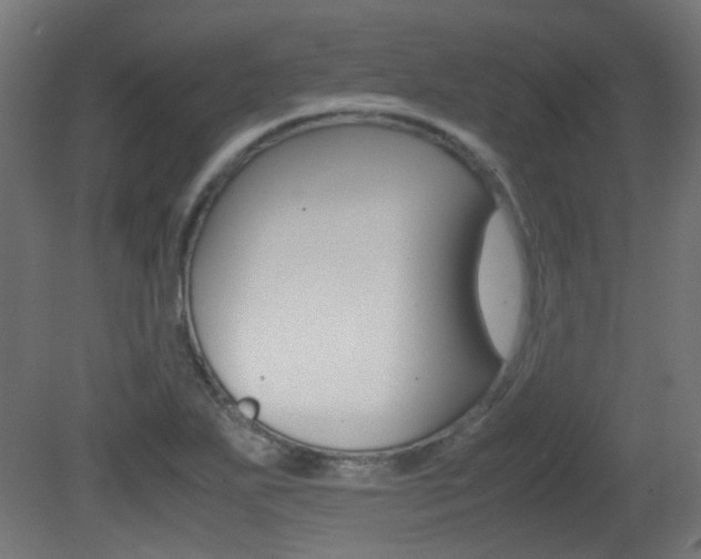 X0000081351271200701111056