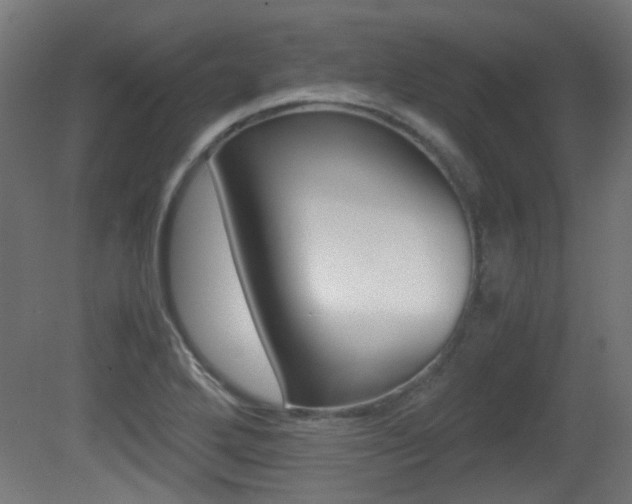 X0000081351272200701111056