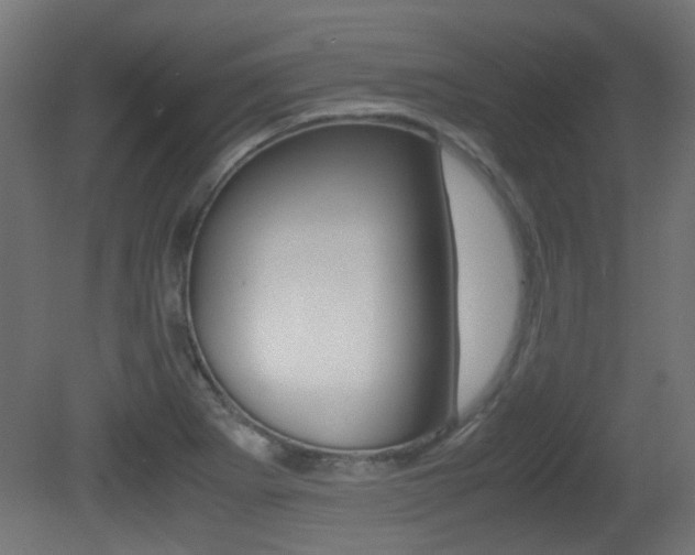 X0000081351273200701111056