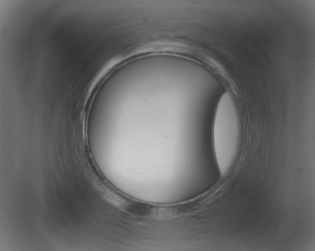 X0000081351275200701111056