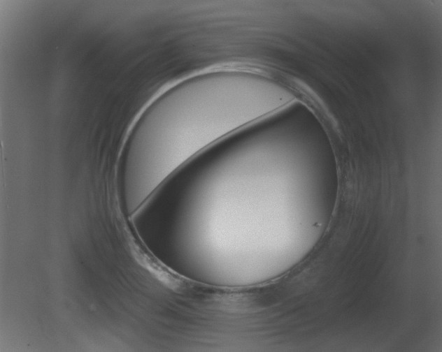 X0000081351276200701111056