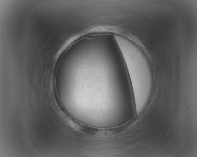 X0000081351277200701111056