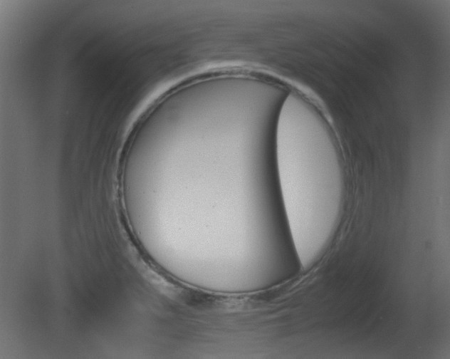 X0000081351279200701111056