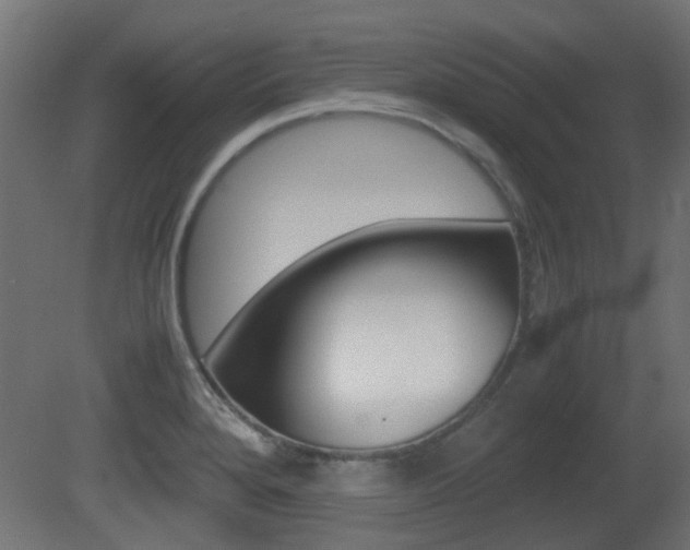 X0000081351280200701111056