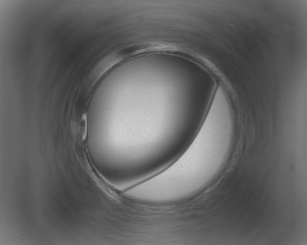 X0000081351281200701111056