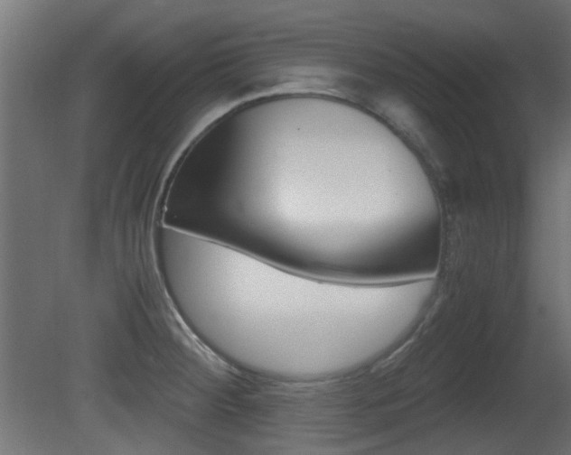 X0000081351284200701111056