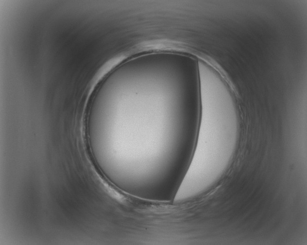 X0000081351285200701111056