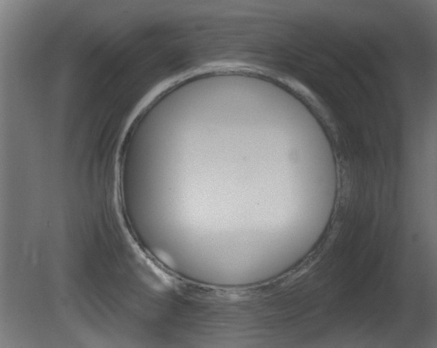 X0000081351286200701111056