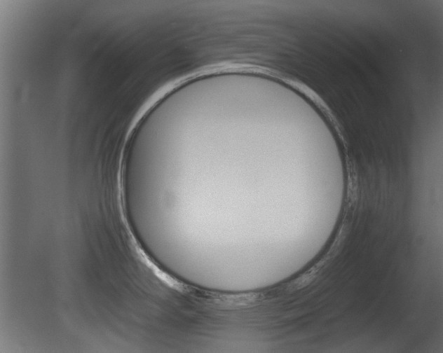 X0000081351294200701111056