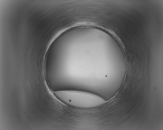 X0000081351295200701111056
