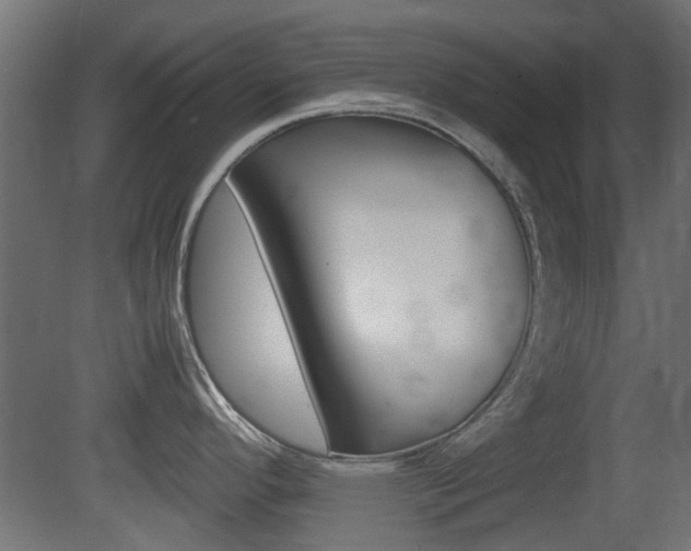 X0000081351296200701111056
