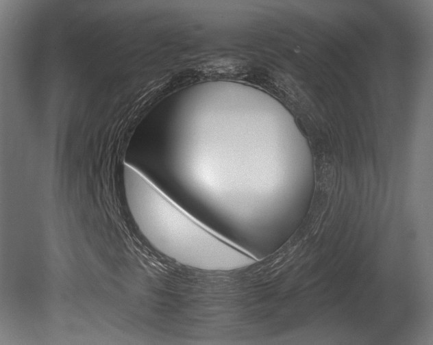 X0000081351297200701111055