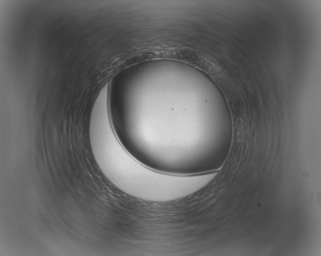 X0000081351298200701111055