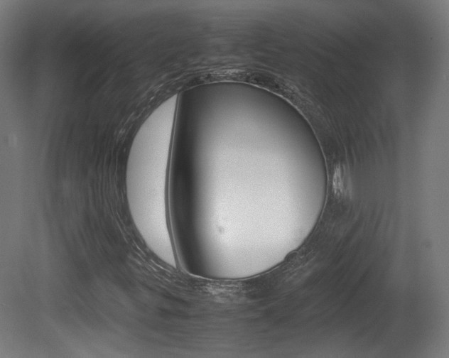 X0000081351299200701111055